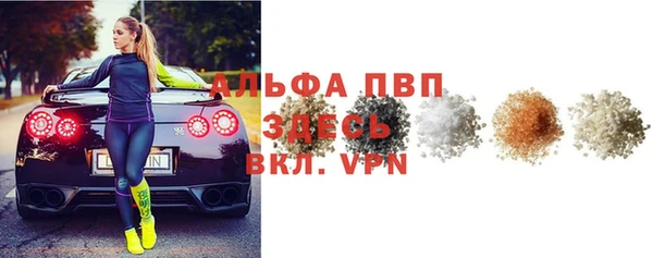 стаф Алексин