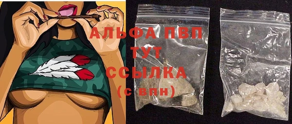 стаф Алексин