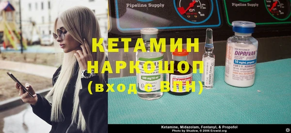 стаф Алексин