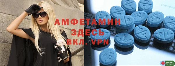 стаф Алексин