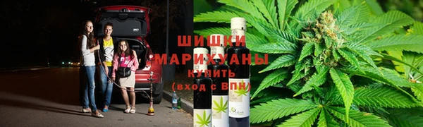 сатива Алексеевка