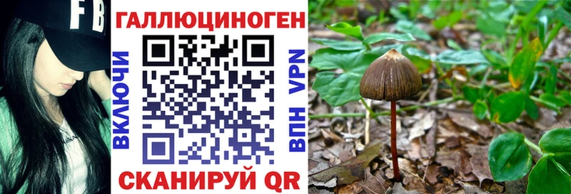 Псилоцибиновые грибы Psilocybe  Артёмовский 